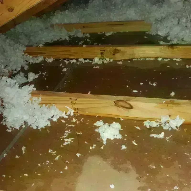 Attic Water Damage in Marion County, MO