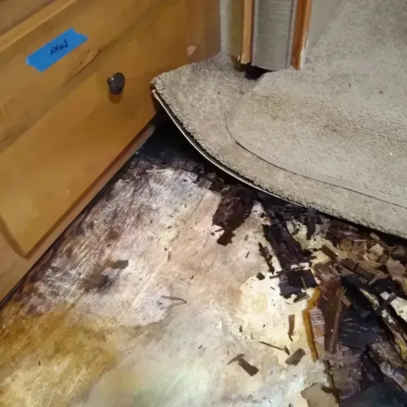 Wood Floor Water Damage in Marion County, MO